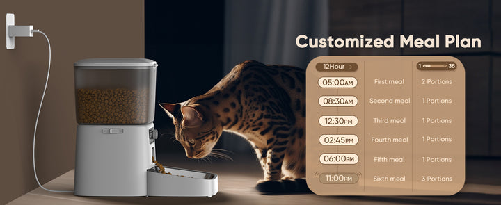 Pet Feeder with Wi-Fi