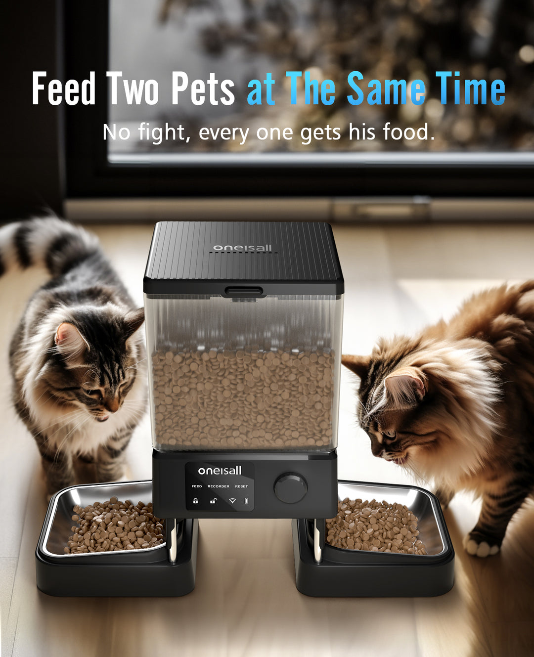 Pet Feeder with Wi-Fi (Dual)