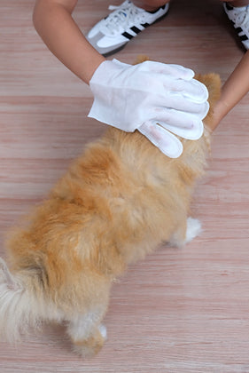 Pet Glove Wet Wipes