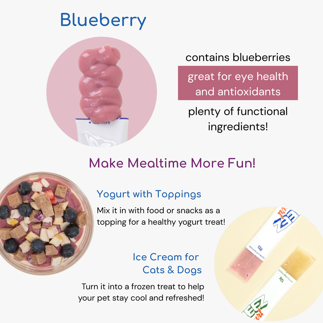 Squeez Yogurt (Blueberry)