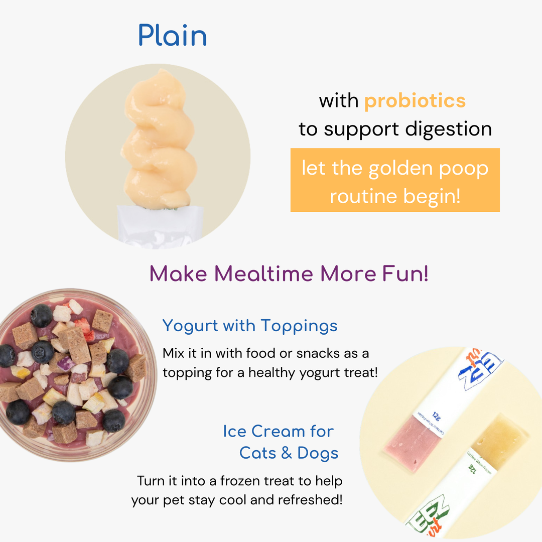 Squeez Yogurt (Plain)