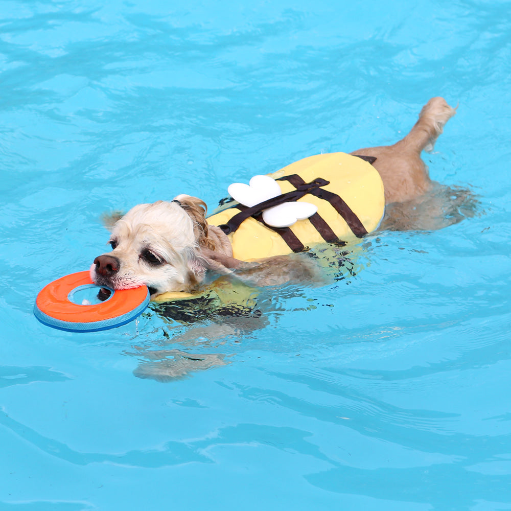 Honey Bee Life Jacket