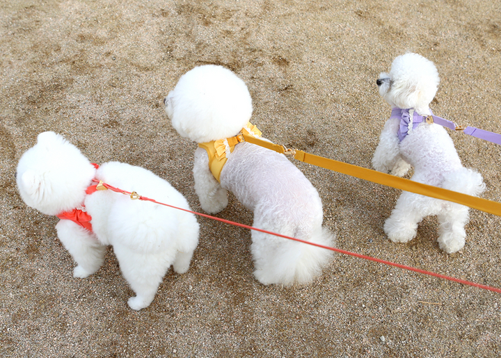 Daisy Frill Leash