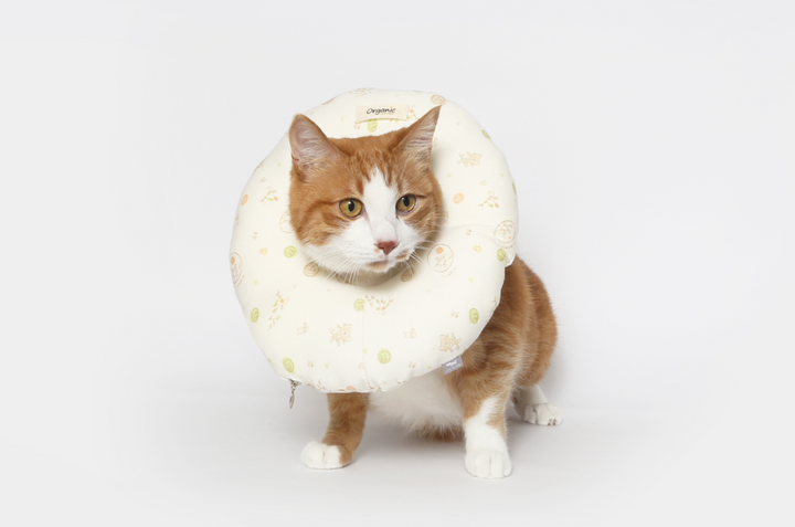 Organic Neck Collar (Love Cat)